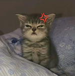 Bakaakaa
