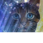Warrior Cats Den