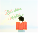 - Sunshine Airlines -