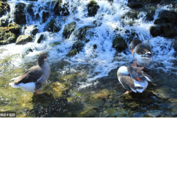 Waterfalls Up High