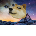 Doges Border