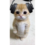 Flopdoge