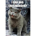 Catbloxia Empire
