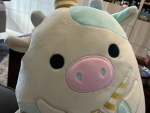 CABYBARAS JOIN THE FUN