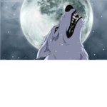 The Lynx and Hyena Clan