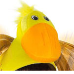 Chicken Hat!