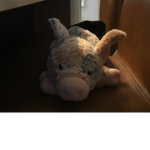 PIG’S RULE