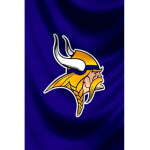 MINNESTOA VIKINGS GROUP FANS ONLY
