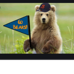 The Super Bear Fanclub