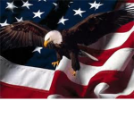 republic of the united states of america