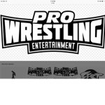 *PWE*pro wrestling entertainment