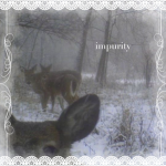 impureity