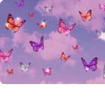 PripriHxxlover
