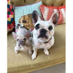 Walter Geoffrey Fan Club