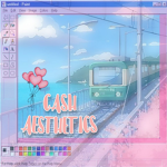 ~ c4sh aesthetics ~