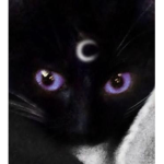 *n i g h t*