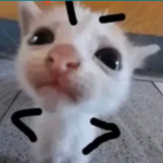 ABCDEFGHIJKIMNOPQRSTUV