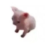 AwitaDeUwU