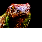 King of Komodo dragons