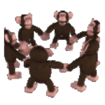 Hungry monkey’s