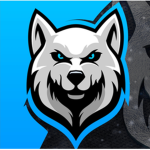 ALPARSLAN WOLF TEAM