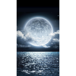 Luna baby’s