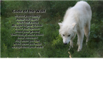 WolfClan Of The Forest