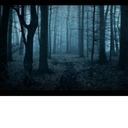 The Forest