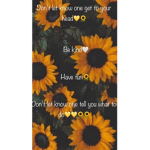 Sunflower Hang Out Group