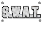 roblox assuilt air&swat spy division