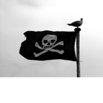 Dev's Pirate Crew