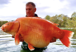 Parofuilpesce