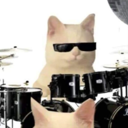⋆✴︎˚｡⋆