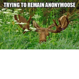 Moose migrating Zone ALPHA