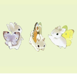 ৻butterfIies৲
