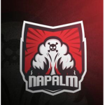 Napalm Studios