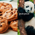Coanda’s closet