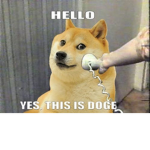 Doge's game produktion