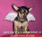 NO SE QUE NOMBRÉ PONERLE