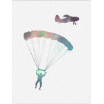 Skydive Interactive