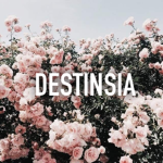 d e s t i n s i a