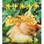 G_games fan group