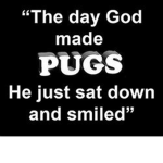 real pug fanZ