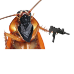 Roach . Army