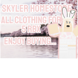 Skyler's Store