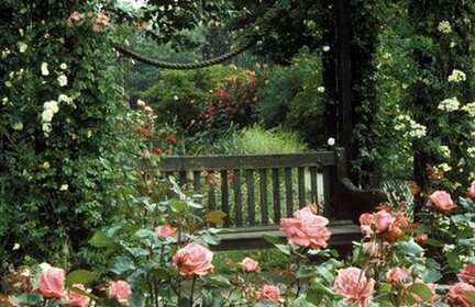 ~Rosy's Garden~