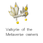 Valkyrie of the Metaverse Owners & Fans