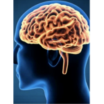 BrainWorksTeam