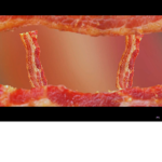 BACON FOREVER REEEEE
