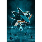 pro hockey fans